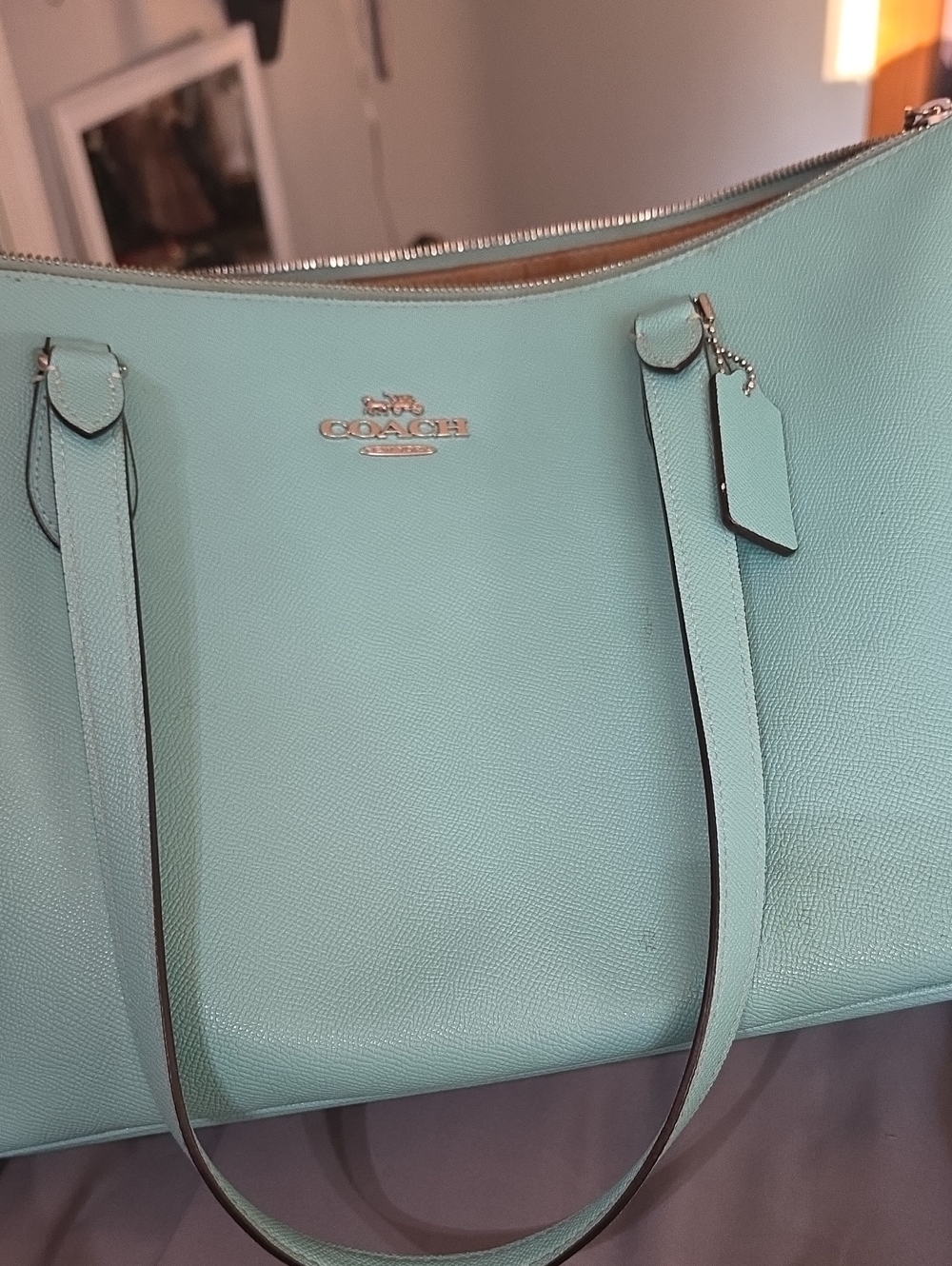 COACH Mint Green Leather Tote with Silver Hardware